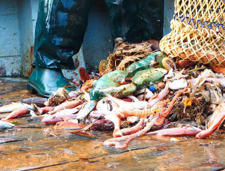 ORTONA. Intensificati i controlli contro la pesca illegale