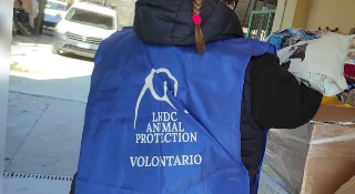 Orsogna, cane trovato morto in condizioni disumane: denunciato il proprietario