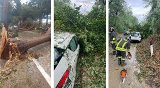Tromba d’aria e grandine a Fossacesia: albero cade su un’auto, una donna ferita