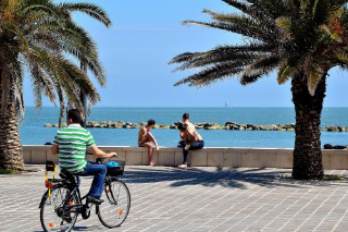 Francavilla al Mare, il lungomare si arricchisce con 24 nuove palme