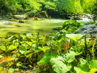 Valle dell’Aventino, al via il progetto "Valle della Biodiversità" per rilanciare il territorio