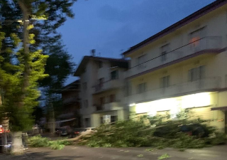 Sambuceto, tromba d’aria abbatte due alberi: colpita un’auto in corsa